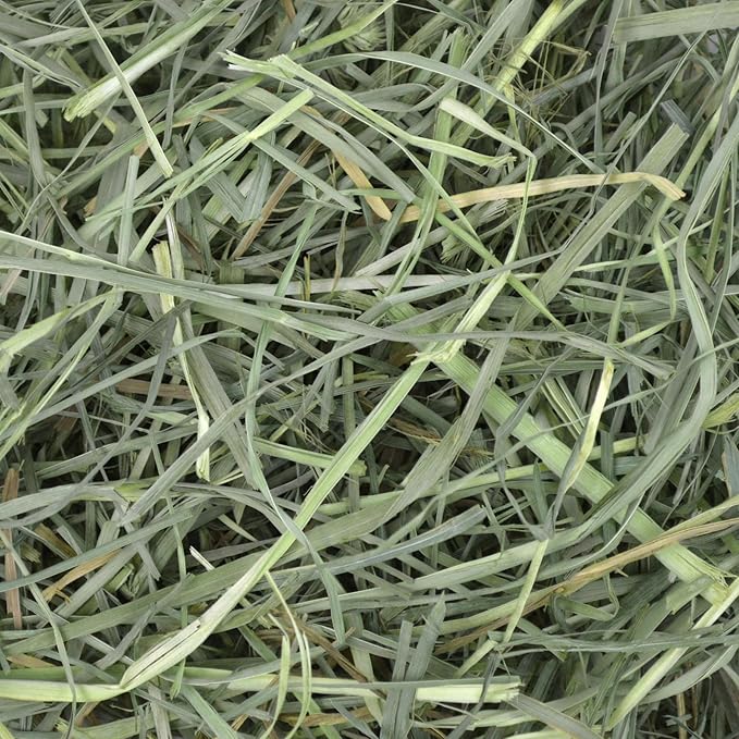 Oxbow Animal Health Orchard Grass, Guinea Pig Hay, Rabbit Hay, Small Pet Bunny Supplies, All Natural Grass for Guinea Pig, Bunny, Chinchilla & Hamster, Oxbow Rabbit Supplies for Bunnies, 9 lb. box