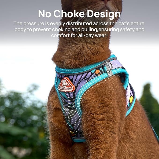 PetThem Upgraded Cat Harness and Leash Set - Step-in Escape Proof Adjustable Cat Harness, Comfortable Soft Lightweight, Reflective Harness for Walking, Travel, Camping (Butterfly Magic, XXS)