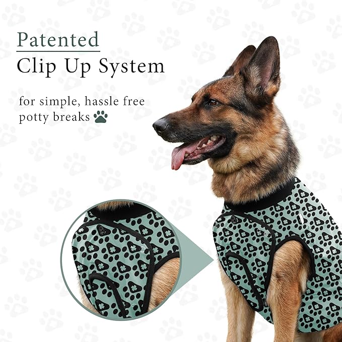 BellyGuard Dog Surgery Recovery Suit, Dog Onesie for Post-Op Care, Recovery Apparel for Female and Male, Surgical Body Cover for Canine Healing Support