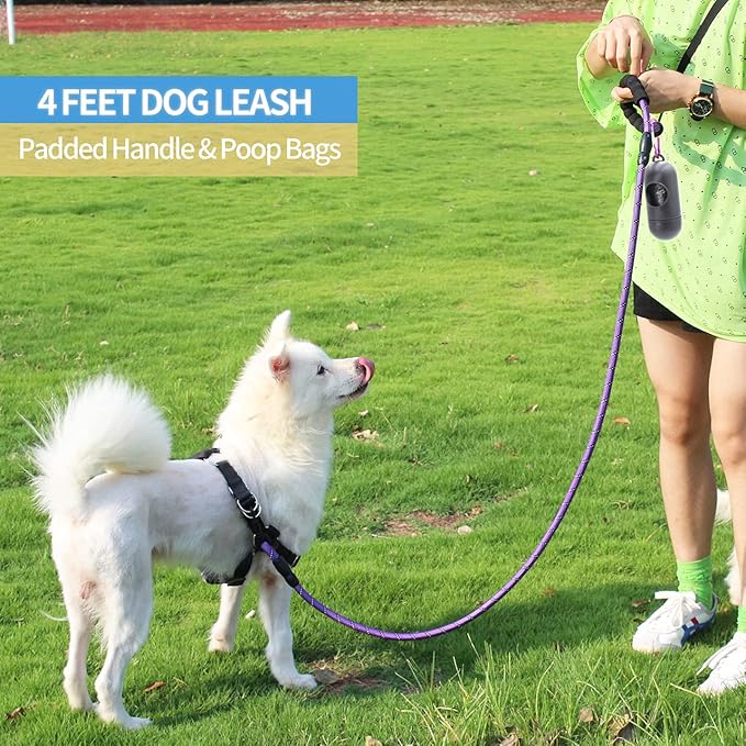 BAAPET 2/4/5/6 FT Dog Leash with Comfortable Padded Handle and Highly Reflective Threads for Small Medium and Large Dogs (4FT-1/2'', Purple)