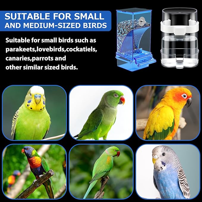Yaomiao 6 Pcs No Mess Bird Feeders Automatic Clear Parrot Water Dispenser Acrylic Quail Feeder and Watered Cage Accessories Indoor for Small and Medium Parrot Cockatiel Canary (Blue Feeder)