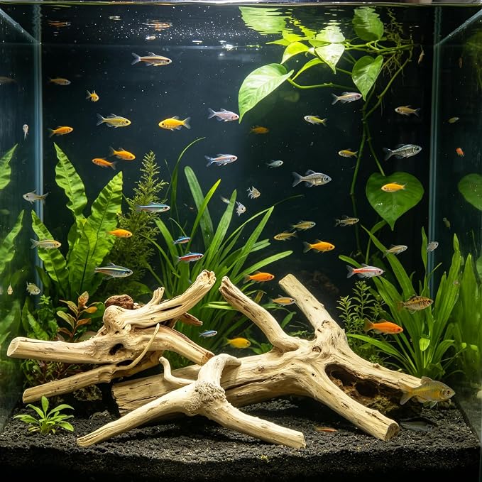 3 PCS Large Natural Spider Wood for Aquarium 10-12", Aquarium Drift Wood, Assorted Size Spider Wood, Twisted Branches Trunk for Fish Tank, Aquascaping, Reptile Climbing Branch, Terrarium Decor