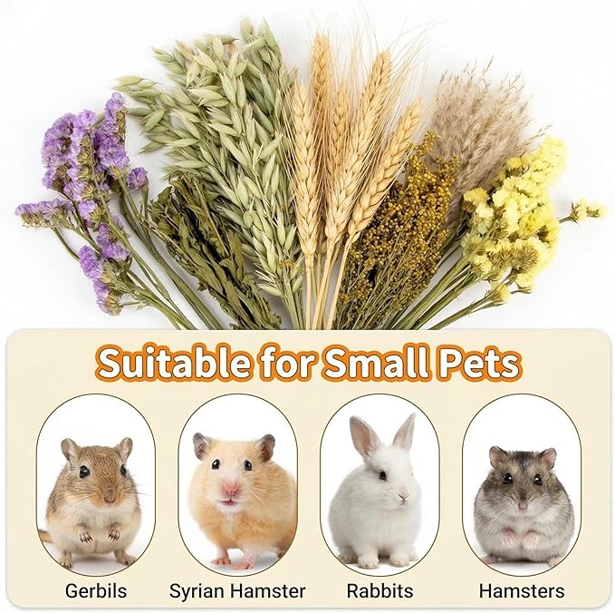 Sukh 42Pcs Herb Bedding Habitat Decor - Natural Flower Hamster Mate Herbs Sprays Cage Safe Pet Accessories Decorations Hideout for Hamsters Mouse Guinea Pig Dwarf Gerbils Syrian Mice