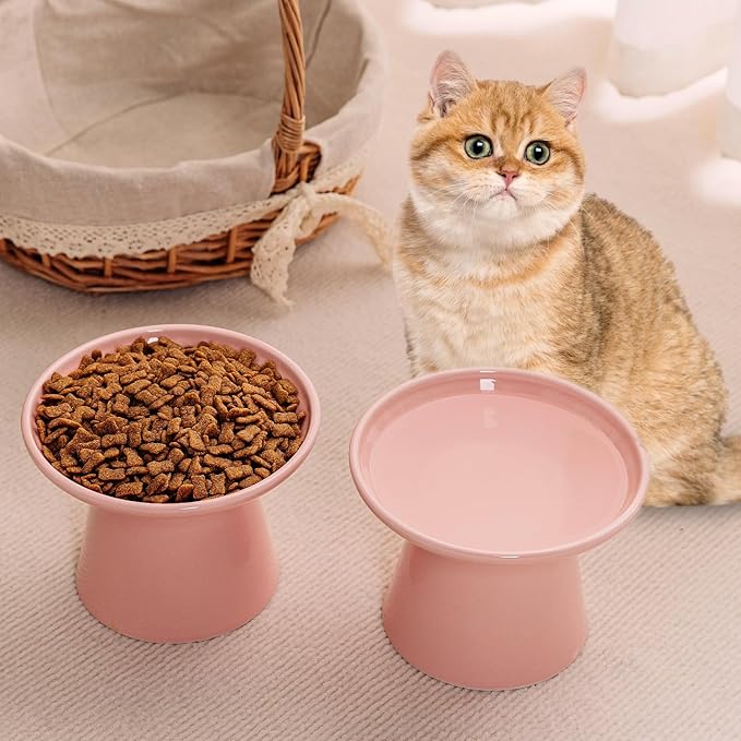 6.2 Inch Extra Wide Elevated Ceramic Cat Bowls, Food and Water Bowl Set for Elder Big Cats Small Dogs, Raised Design for Pet Easy Eating, Protect Cat's Spine Set of 2(Pink)