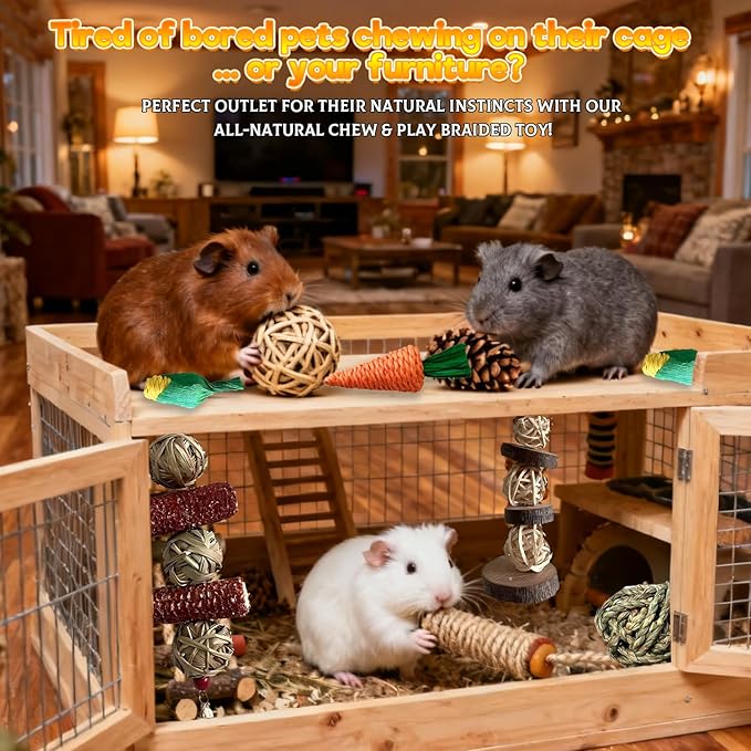Rabbit Toys Bunny chew/Premium Guinea Pig Toys Natural Material Timothy Hay Sticks Apple Wood Sticks Handmade for Guinea Pig Hamster Rat Chinchilla