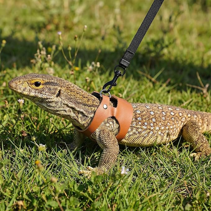 3 Pack Bearded Dragon Harness and Leash Set, Small Animal Traction Rope Training Walking Vest Accessories, 3-Size Adjustable Soft Leather Lizard Vest Harness Leash for Squirrel Reptile Rat