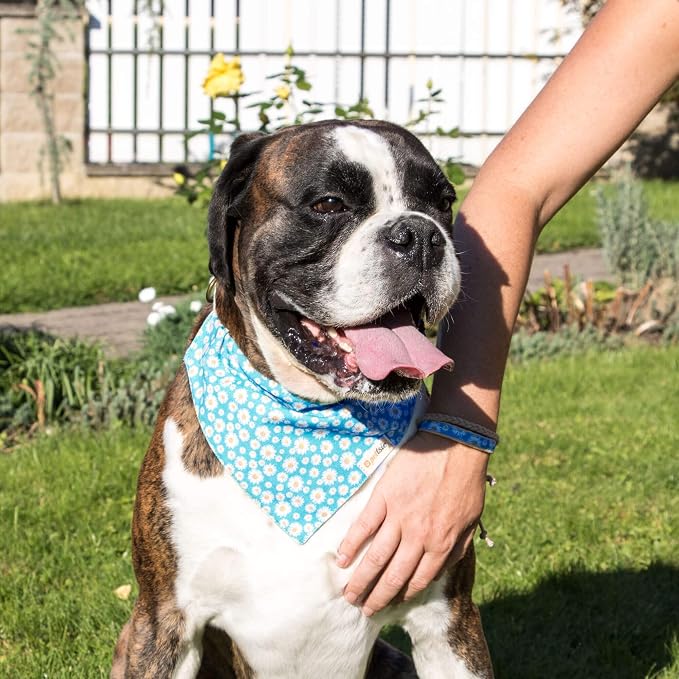 Pettsie Hemp Dog Bandana Collar & Matching Owner Friendship Bracelet | Matching Friendship Bracelet, Durable Hemp, Adjustable, Secure D-Ring, Soft & Comfortable, Turquoise