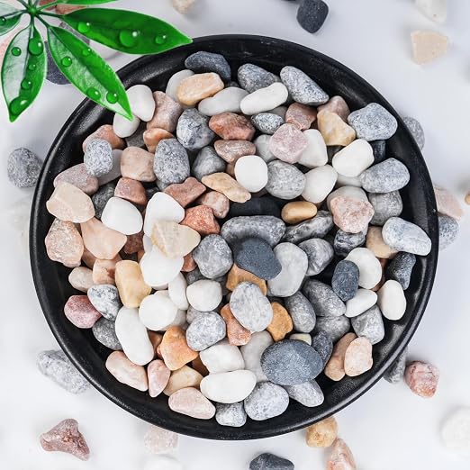 SIDONG 20 LB Mixed River Rocks, 0.3-0.5 Inches High Polished Pebbles for Indoor Plants, Aquarium Rocks Used in Fish Tank, Decorative Stones for Plants, Vases, Home Décor, Crafting, Garden Landscaping