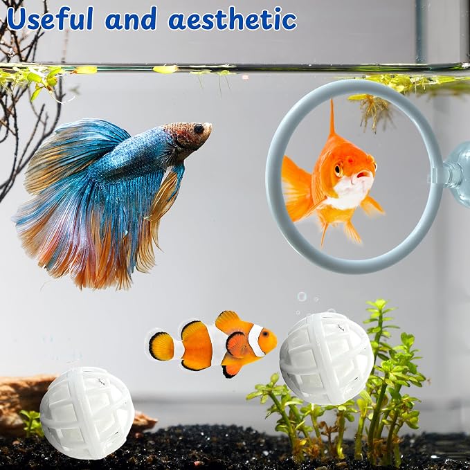 Betta Fish Exercise Ring and Filter Balls Set, Betta Ring Training Loop with Suction Cup and Nitrifying Ball, Betta Enrichment Toys, Aquarium Toys for Fish Turtle Tank Small Fish Tank (White, M-73mm)