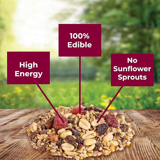 Kaytee Wild Bird Food, 5.5 Pound | Waste Free | Nut and Fruit Blend | For Multiple Bird Species | Pack of 2