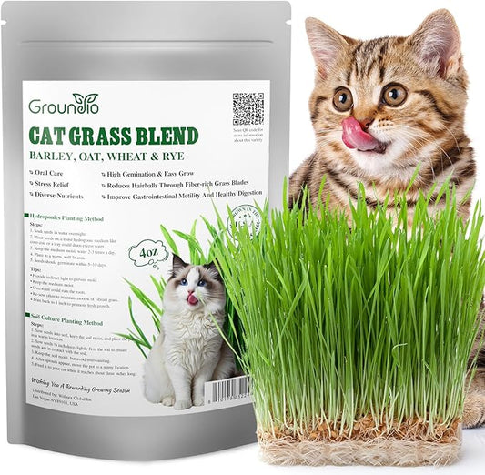 Groundio Cat Grass Seeds, Barley, Oats, Wheat, Rye 4 Varieties, Non-GMO Fast Germinate in 4-7 Days, Sourced from USA for Indoor Cats, 4 Ounce