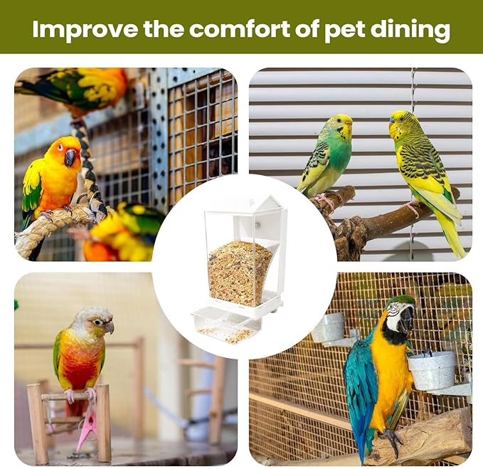 Wild Bird Feeder - Spill Proof Removable Container, Outdoor Seed Holder, Hanging Garden Feeder, Durable Multi-Purpose Feeding Station, Easy Refill Transparent Design | Bird Feeding Station for Family