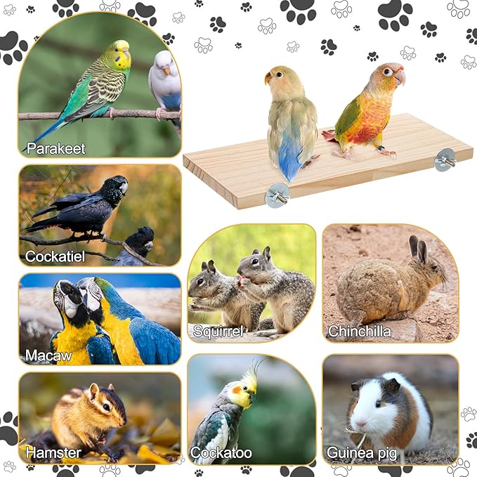 6 Pack Bird Perch Stand, Parrot Wood Platform 12.3×6.1 Inch Rectangle Wood Bird Platform for Parrots Birds Budgie Parakeet Cockatiel Hamster Chinchilla Gerbil