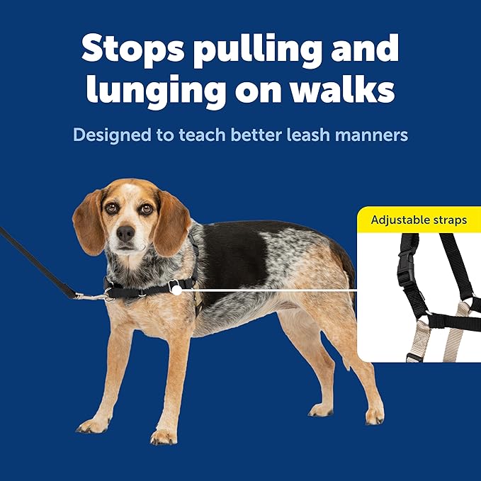 PetSafe Easy Walk Harness for Dogs - Pull-Free Walks - Patented Martingale Loop Design - Front Chest Leash Attachment - Comfort Straps - Breathable Harness Design - Small/Medium, Black/Silver