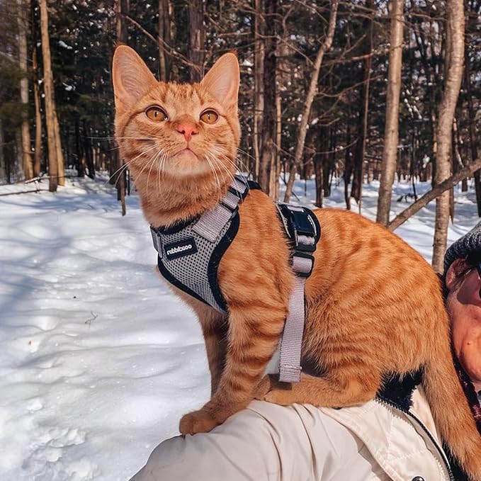 rabbitgoo Cat Harness and Leash for Walking, Escape Proof Soft Adjustable Vest Harnesses for Cats, Easy Control Breathable Reflective Strips Jacket, Grey, M