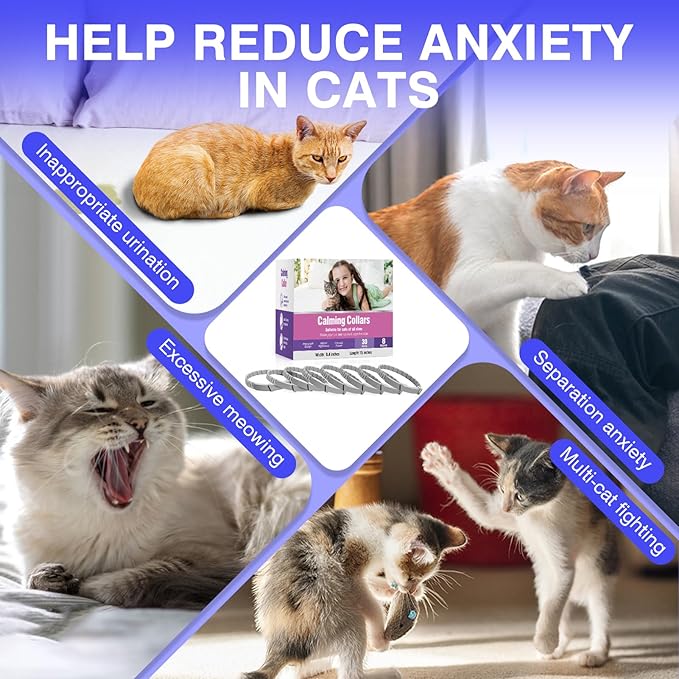 Tcllka Calming Collar for Cats 8 PK Cat Stress and Anxiety Relief Pheromone Calming Collar for Cats Anti Aggression for Cats Cat Calming Collars