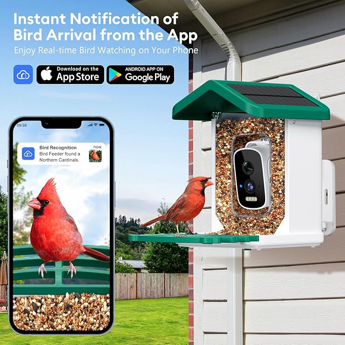 Smart Bird Feeder with Camera, AI Bird Species Identification Solar Powered Panel, 2.5k HD Video Bird House with Camera for Outside Garden, Ideal Gifts for Lover,Valentine's Day, Green