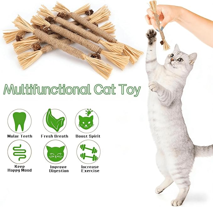 9PCS-Cat Chew Toy, Cat Toys for Indoor Cats with Silvervine Sticks, Safe Teeth Cleaning Chew Toys (Model 1)