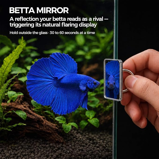 Betta Exercise Kit, Betta Fish Toys, 2 Training Wands and Mirror | Shatterproof acrylic mirror, interactive flaring and enrichment toys, fits any tank or bowl, gift set for betta lovers