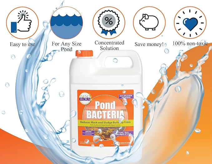 PondWorx Pond Bacteria - Formulated for Large Ponds, Water Features and Safe for Koi - Gallon (Pack of 2)