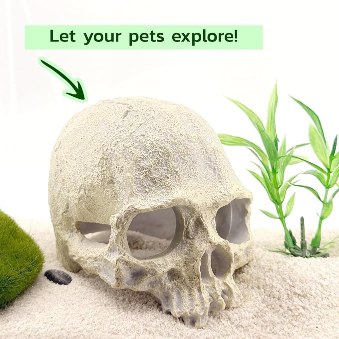 Aquarium Human Skull Decor for Betta Fish, Sinking Hide Shrimp Hide | Realistic sinking aquarium skull creates a cave-like betta hideout and shrimp shelter while adding gothic freshwater decor
