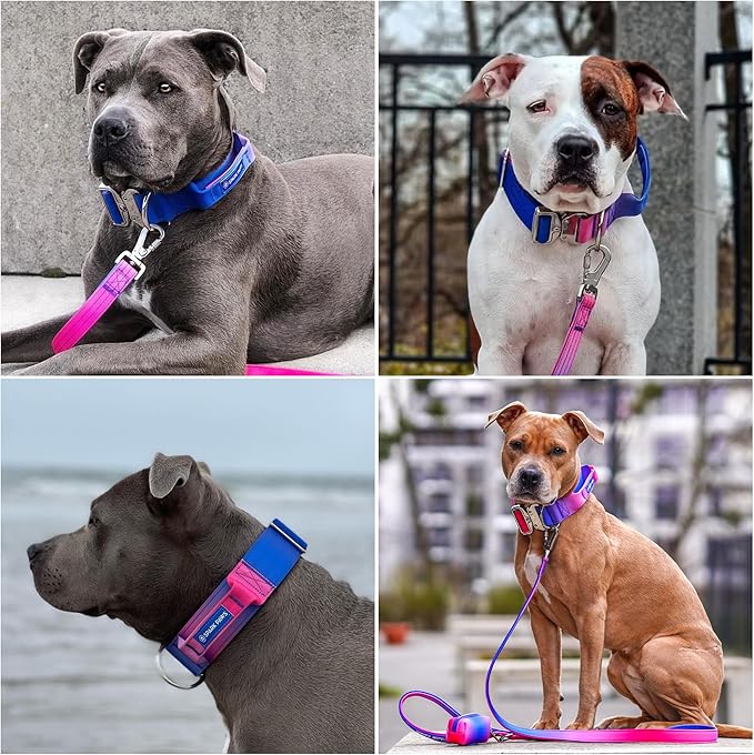 Spark Paws Tactical Dog Collar with Handle - Premium Quality Collar, Robust and Durable Design for Large, Strong Breeds - Pitbulls, Labradors, GSD - Snow Cone - M
