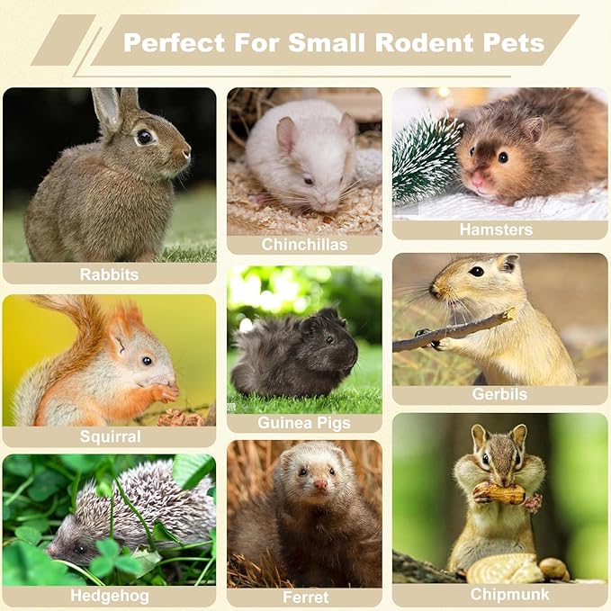 500g Apple Sticks Small Animals Molar Wood Treats Chew Toys for Rabbits Chinchillas Guinea Pig Hamster Gerbil Parrot Bunny Chews Stick Toys