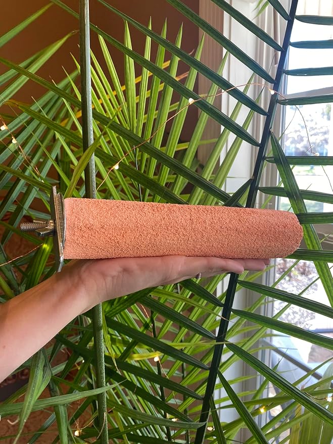 Polly's Pastels Nail Trimming & Beak Conditioning Safety Perch for Cockatiels, Cockatoos, Macaws, Parakeets, Budgies, Parrots and All Other Birds (Coral, X-Large-2" Dia. x 9" Long)