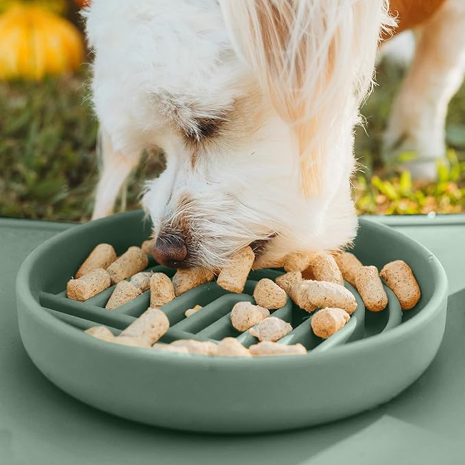 Should We Go? Slow Feeder for Dogs & Cats, The Slowdown Bowl Silicone Slow Eating Mealtime Solution with Modern Lick Mat Design, Reduces Gulping, Fits 1 Cup, 6” Across x 1.25” Tall, Small-Spruce