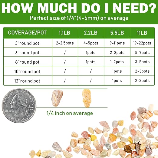11LB Natural Gravel Pebbles, 1/4 Inch Gravel Stones for Succulent and Cactus, Aquariums, Terrarium, Vases and Indoor Outdoor Gardening,Gold