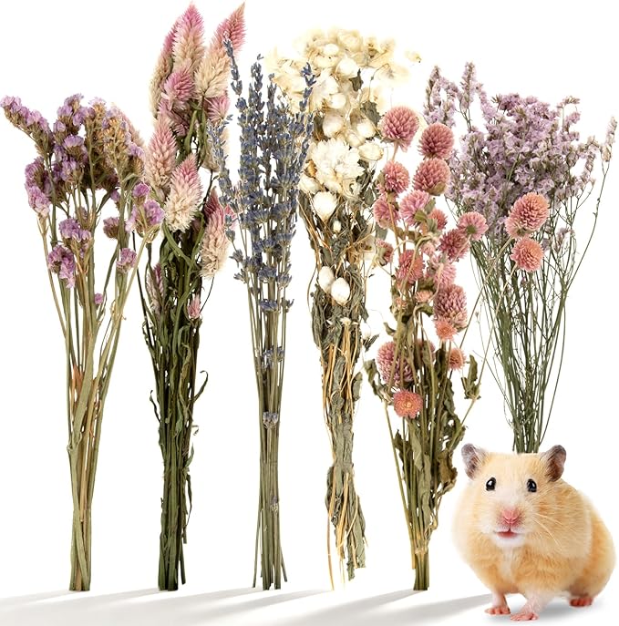 Sukh Natural Hamster Sprays Habitat Decor – Hamster Cage Accessories for Hamster Enrichment, Botanical Hamster Hideout & Hamster Cage Decor for Syrian Hamster, Dwarf, Gerbil & Small Animal