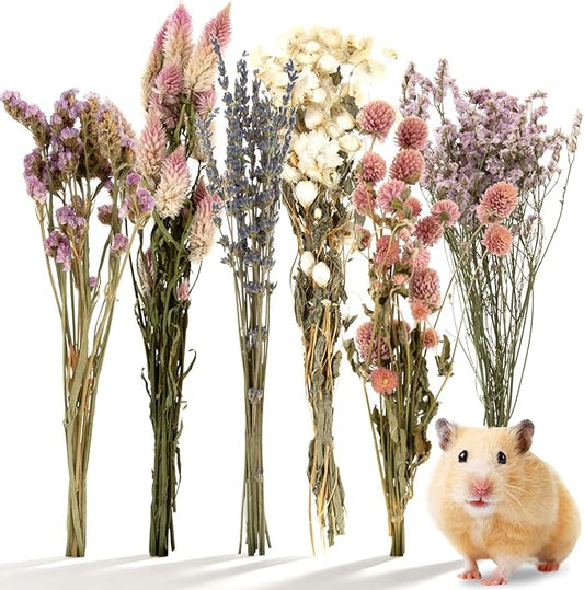 Sukh Natural Hamster Sprays Habitat Decor – Hamster Cage Accessories for Hamster Enrichment, Botanical Hamster Hideout & Hamster Cage Decor for Syrian Hamster, Dwarf, Gerbil & Small Animal