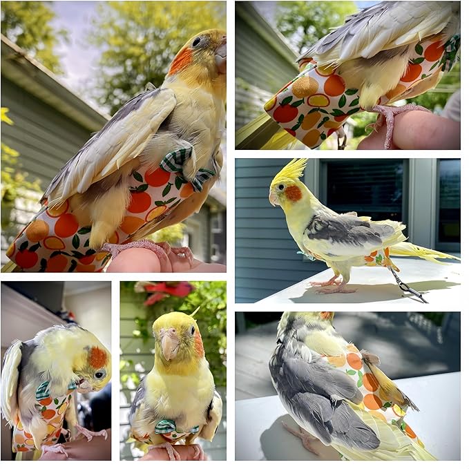 6Pcs Bird Diapers Bird Harness Flight Suits Diapers Reusable Parrot Nappy with Waterproof Inner Layer Washable Cute Urine Wet Suit Costume for Cockatiel Conure Budgie Macaw Parakeet,M
