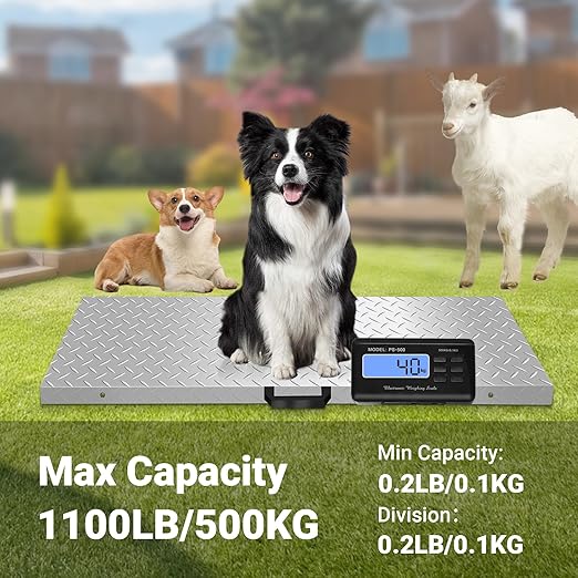 Large Dog Scales for Large Breed, 1100lb x 0.2lb Pet Scale for Large Dog, Livestock Scale, Animal Scale, Stainless Steel Platform, Large Scale for Dogs Sheep Goat Pig Shipping Scale