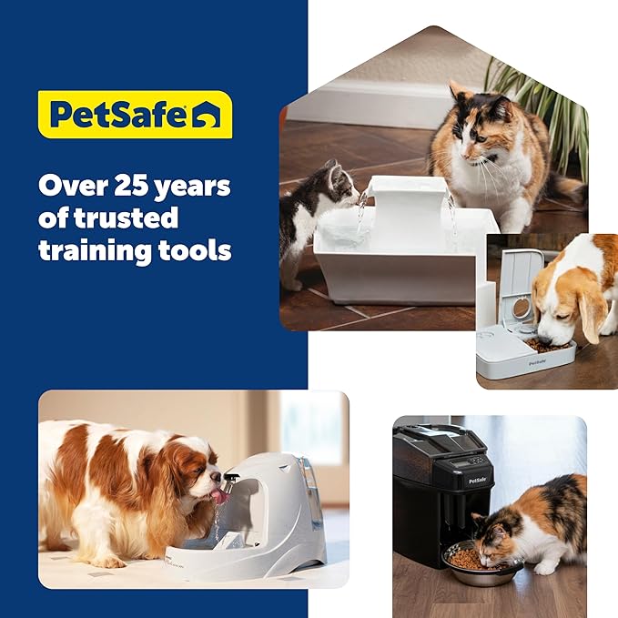 PetSafe Seaside Stainless Pet Fountain - Encourages Hydration - Dual Filtration Removes Odors - Compact Design - Rust Resistant Material - Quiet Motor -,(Pack of 4)