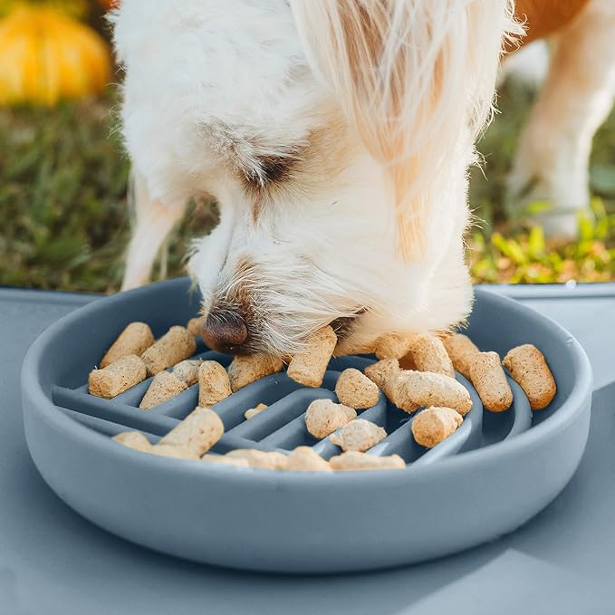 Should We Go? Slow Feeder for Dogs & Cats, The Slowdown Bowl Silicone Slow Eating Mealtime Solution with Modern Lick Mat Design, Reduces Gulping, Fits 1 Cup, 6” Across x 1.25” Tall, Small-Ocean