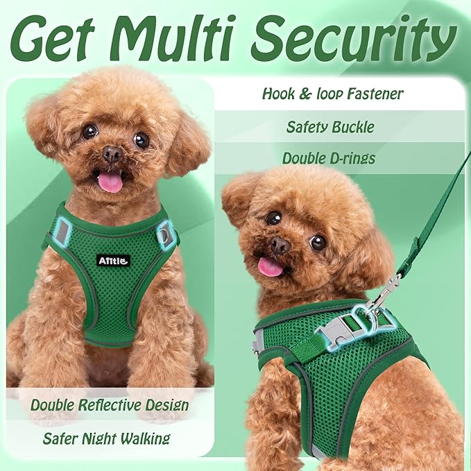 AIITLE Easy Walk Dog Harness and Leash Set - Pet Supply No Pull, Step in Adjustable Dog Harness with Padded Vest, Dog Harness No Choke Over, Easy to Put on Medium Dogs Green L