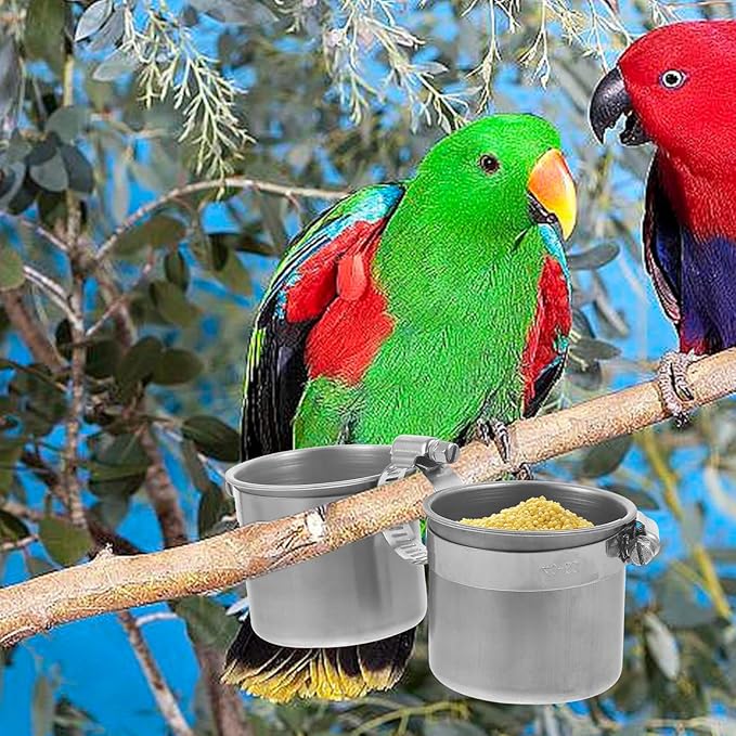 Bird Water Feeder Dishes Bird Bowl for Cage Coop Cups Parrot Food Hanging Pet Animal Stainless Steel Birdcage Bowls Feeding Perches Play Stand with Clamp 15x6. 5cm