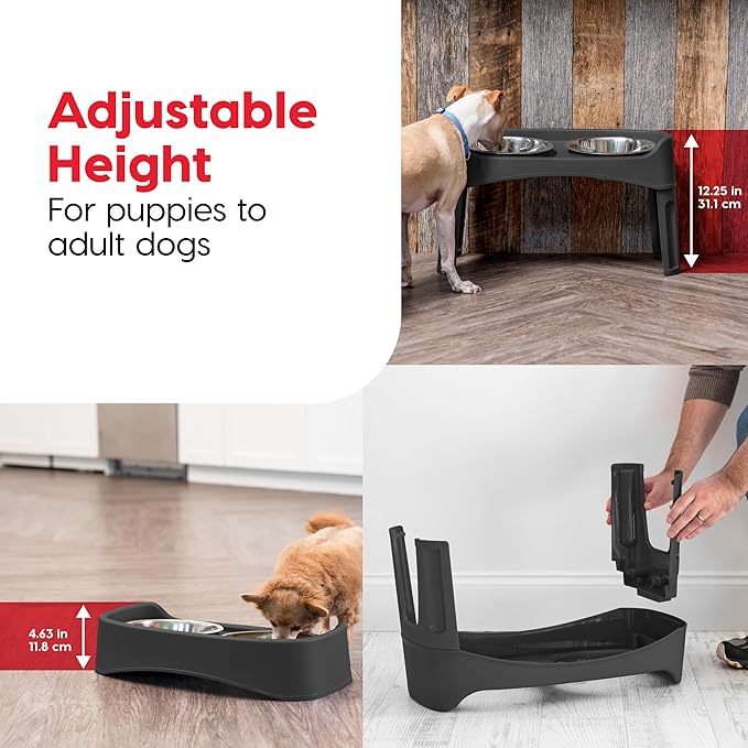 IRIS USA Elevated Dog Bowls Adjustable Stand, Raised Feeding Station with 2 Stainless Steel 64 oz Bowls, Spill Guard, Dual Height 12.25" or 4.63", Made in USA, Black