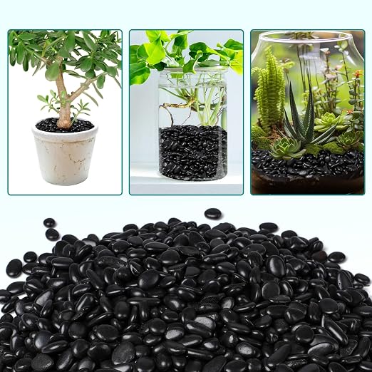 2.5 lbs Black Pebbles for Indoor Plants, 3/8" Small Rocks for Plants Indoor, Succulent, Bamboo, Vase, Decorative Black River Rocks Pea Gravel, Highly Polished