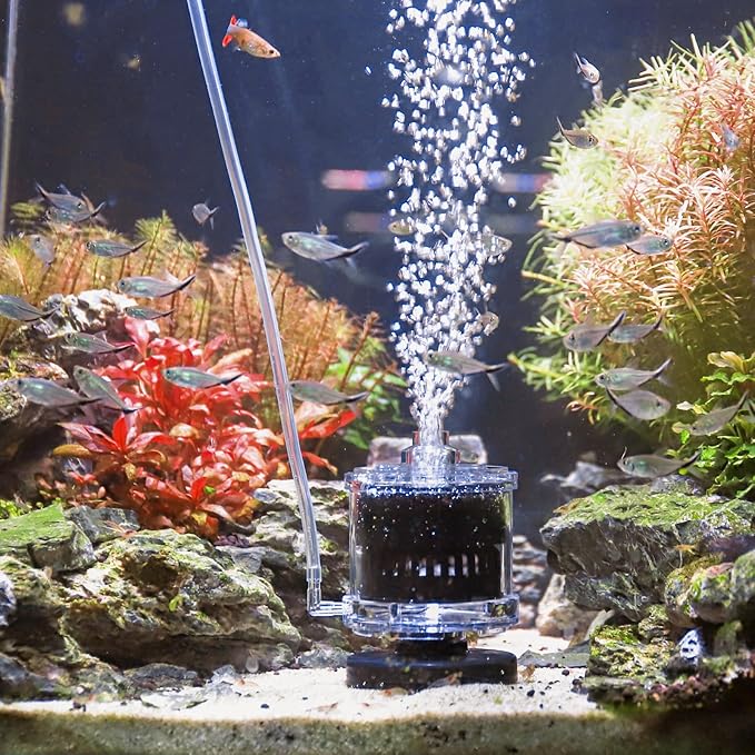 AQQA Aquarium Filter Air-Driven Fish Tank Sponge Filter for 20-110 Gallon Ultra Quiet Submersible Filters for Aquarium Corner Filter Bio Sponge Filters (Medium for 20-110 Gallon)