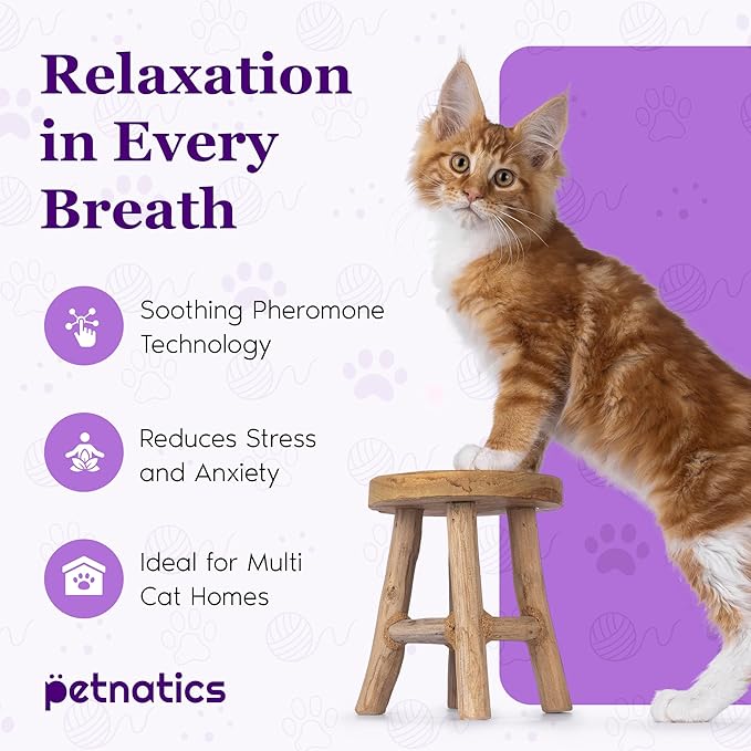 Purrfect Cat Calming Diffuser | Stress Relief for Pets | Multi Cat Calming Pheromone Diffuser | Soothing Pheromone Technology | Long-Lasting Effect for up to 30 Days