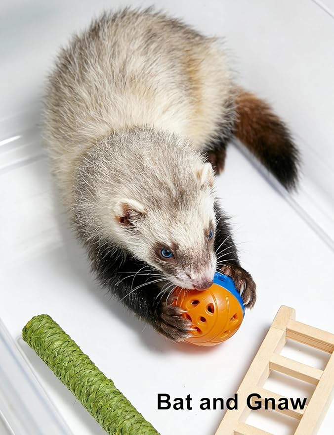 10 Pack Ferret Ball Toys Ferrets, Bell Inside, Durable PP Material, Interactive Play for Dental Health & Stimulation (1.5'' - 2.2'')