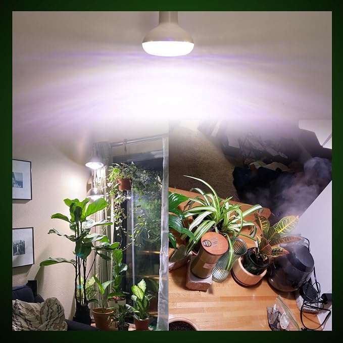 Full Spectrum Led Indoor Plant Grow Light Bulbs 15W 2000lm E26 BR30 | Floodlight Sun Plant Growing Lamp,200 Watt Equival,Balanced 5000K Red Blue for Seeds Greens,Indore Garden, Hydroponic,2pcs