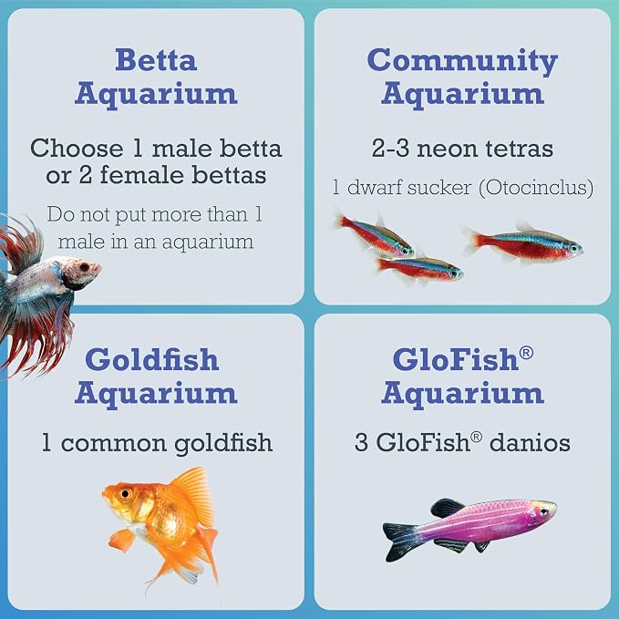 Tetra Crescent STEM 3 Gallon Fish Tank Kit | Aquarium Kit Includes STEM Activity Booklet, White LEDs, 3 Gal Curved Tank, Filter & Cartridge, Test Strips, Thermometer