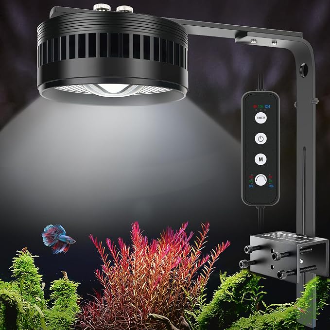 AQQA Clip-On Aquarium Light, Full Spectrum LED Fish Tank Stream Light | with 3 Modes (White/RGB/Full Spectrum), Timer & 6 Brightness Levels, Adjustable Clamp for Freshwater Plants Fish Tanks
