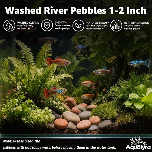 43lbs Natural River Rocks, 1''-2'' Decorative Stones, Aquarium Pebbles | Water-Washed Natural Finish, Hand-Picked, for Plants, Fish Tank, Garden, Paving, Fountain, Walkways and Outdoor Landscaping