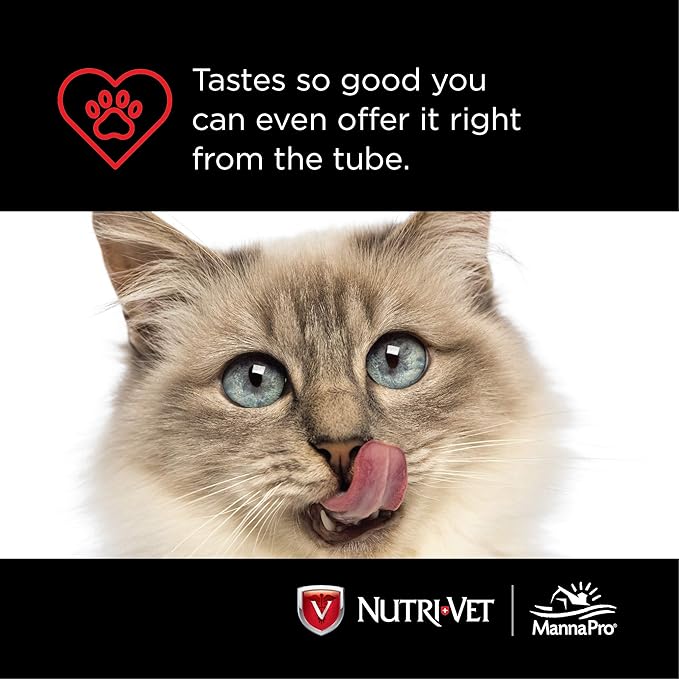 Nutri-Vet Feline Natural Oil Hairball Paw-Gel Chicken Flavor 3oz - Pack of 2