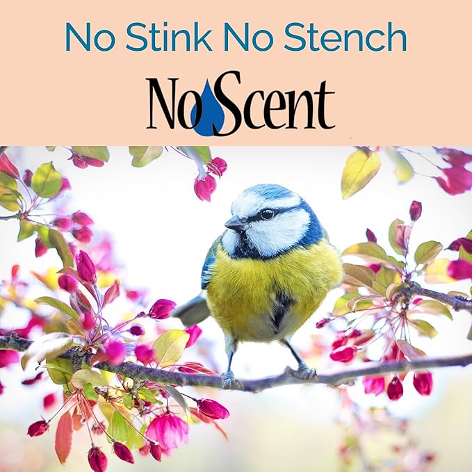 No Scent Bird Cage Cleaner Spray & Pet Odor Management, Natural Aviary Freshener (8 Fl Oz / 237 mL)