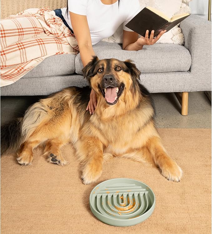 Should We Go? Slow Feeder for Dogs & Puppies, The Slowdown Bowl Silicone Slow Eating, Modern Lick Mat Design, Reduces Gulping, Fits 2.5 Cups, 9.5” Across x 1.5” Tall, Mealtime Challenge, Large-Sage